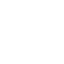 Building Insulation Protection